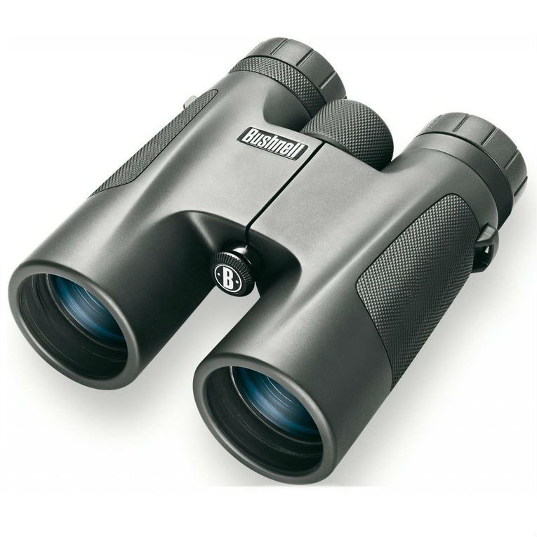 Bushnell Powerview 10x42 black, roof